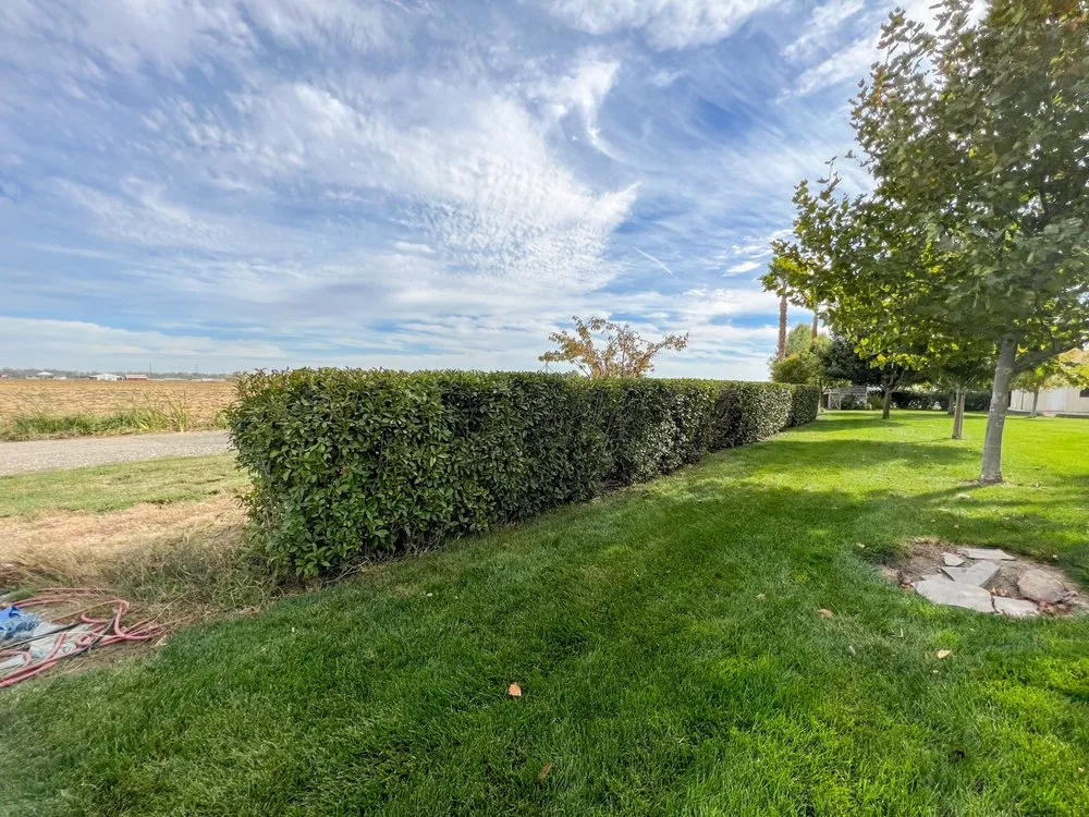 Custom landscape design for homes across Princeton, CA - Snippers Lawn & Yard