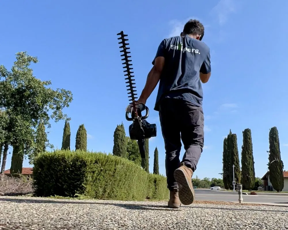 Reliable landscaping services in Princeton, CA by Snippers Lawn & Yard