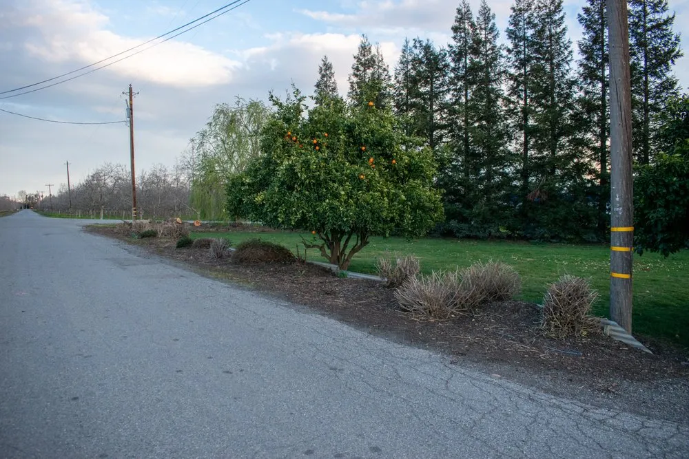 Expert outdoor landscaping with custom design in Princeton, CA by Snippers Lawn & Yard