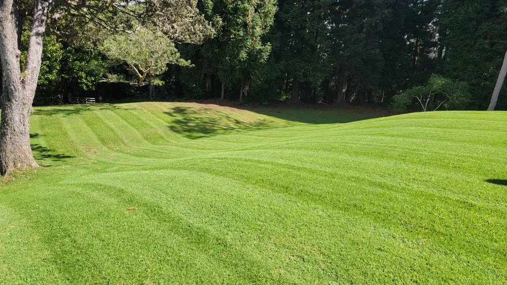Custom outdoor landscaping in Honokaa, HI - SnipperZ Lawn Care