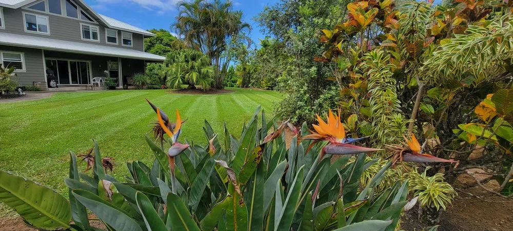 Professional yard maintenance for residential properties across Honokaa, HI - SnipperZ Lawn Care