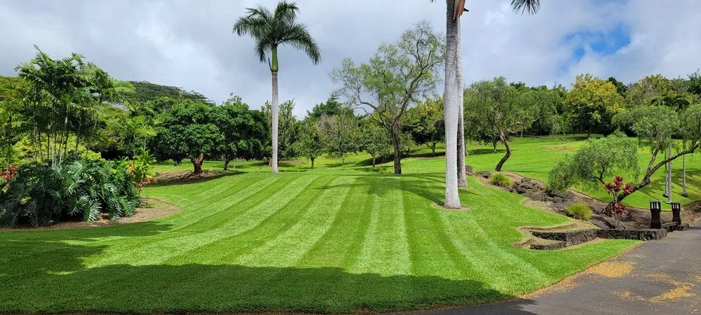 Expert landscaping services near you in Honokaa, HI by SnipperZ Lawn Care