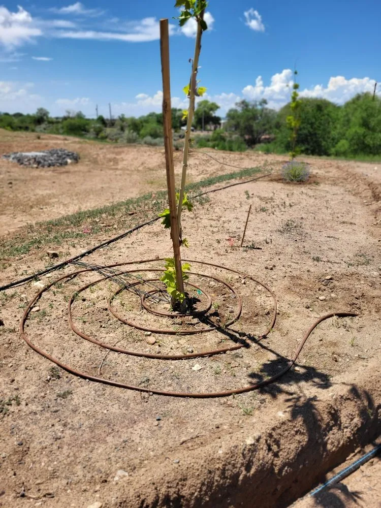 Top-rated yard maintenance in Santa Fe, NM - SnK LIGC
