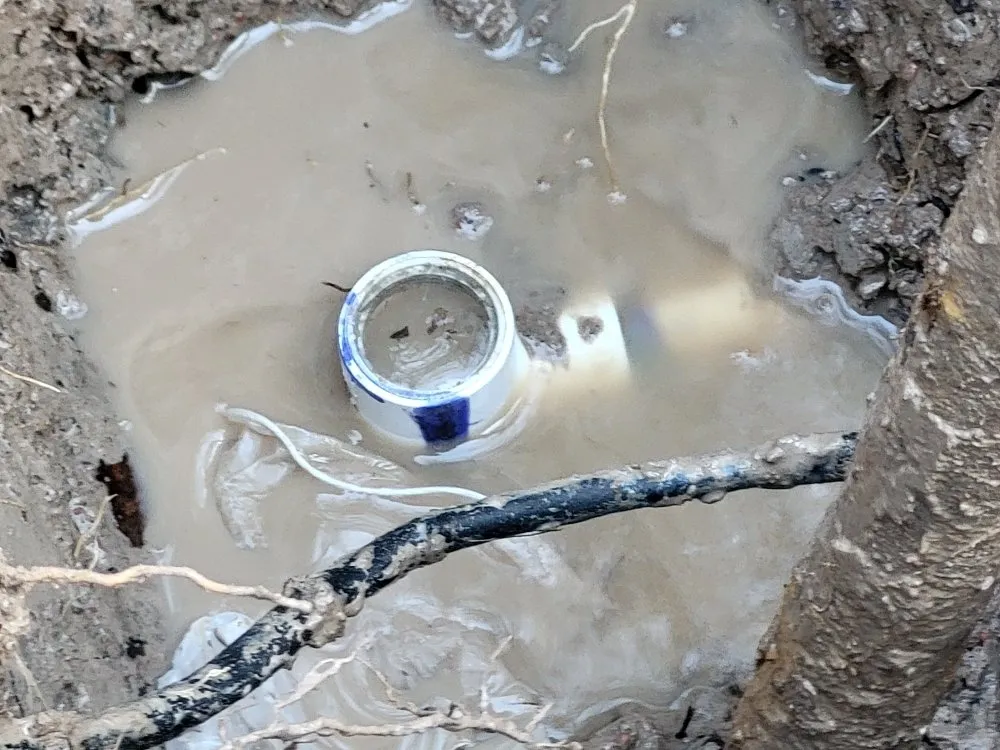 Reliable garden landscaping in Santa Fe, NM by SnK LIGC