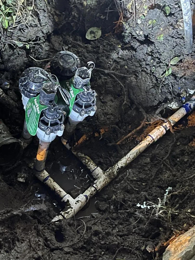 Affordable landscape design in Monrovia, CA by SNL Tree Services & Landscaping