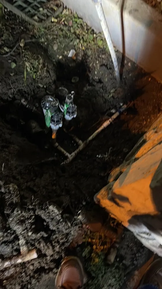 Expert outdoor landscaping in Monrovia, CA by SNL Tree Services & Landscaping