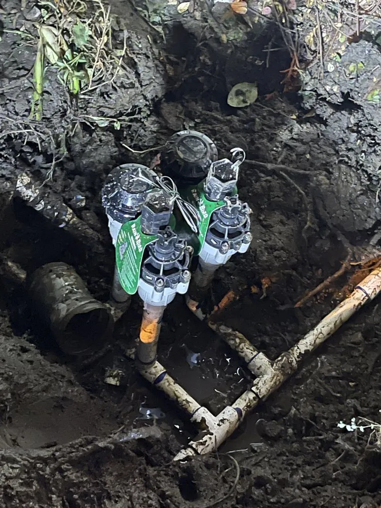 Expert residential landscaping in Monrovia, CA - SNL Tree Services & Landscaping