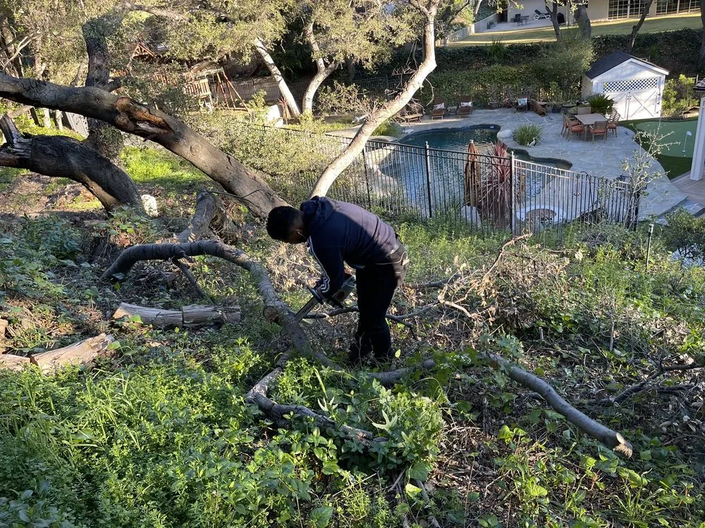 Expert lawn care service experts serving Monrovia, CA - SNL Tree Services & Landscaping