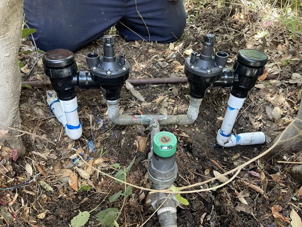 Custom landscape installation in Monrovia, CA - SNL Tree Services & Landscaping