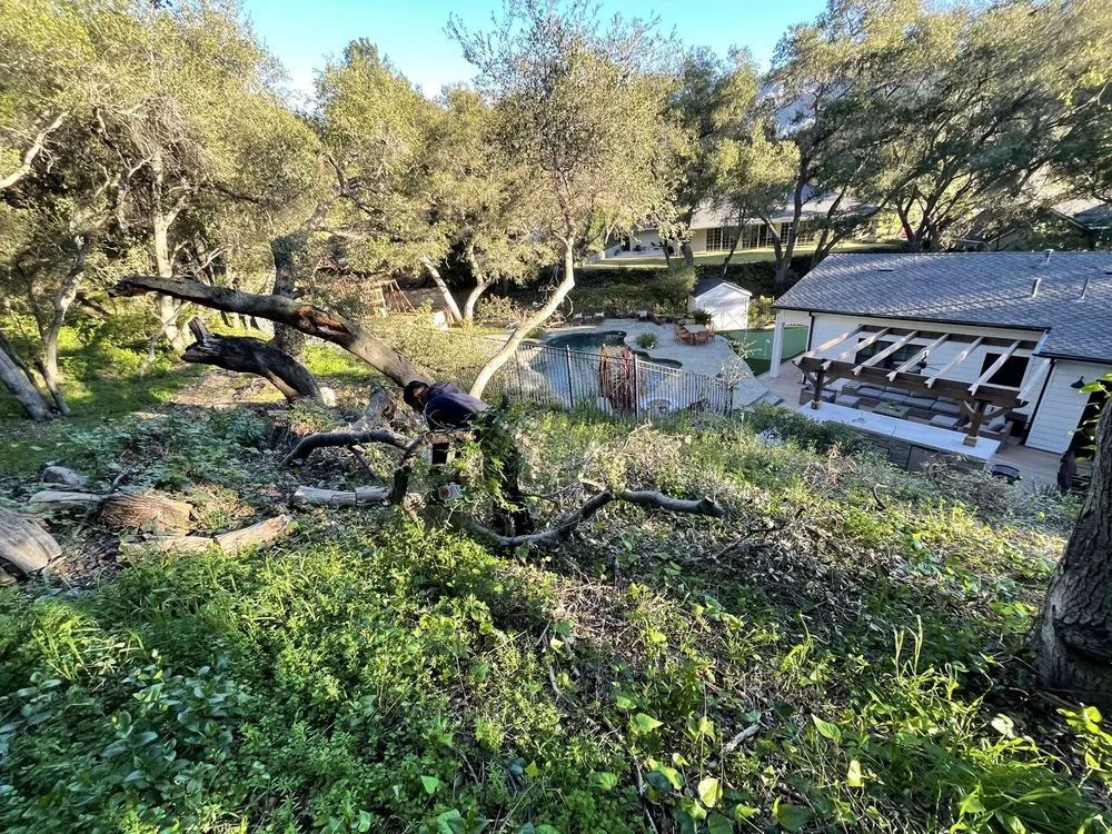 Top-rated outdoor landscaping experts serving Monrovia, CA - SNL Tree Services & Landscaping