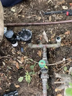 SNL Tree Services & Landscaping Logo