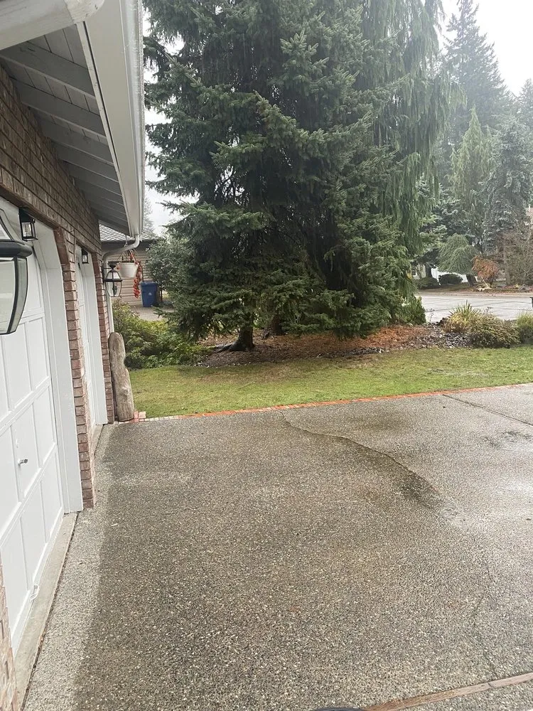 Affordable outdoor landscaping in Bothell, WA by Sno-King Stump Grinding