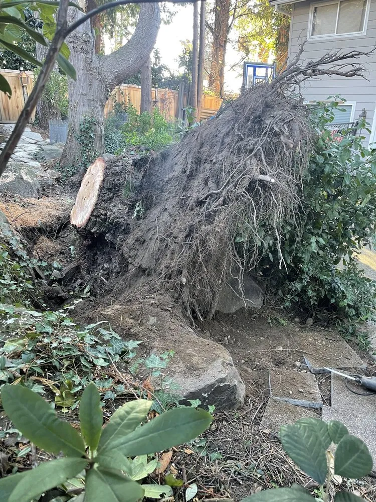 Trusted garden landscaping experts serving Bothell, WA - Sno-King Stump Grinding