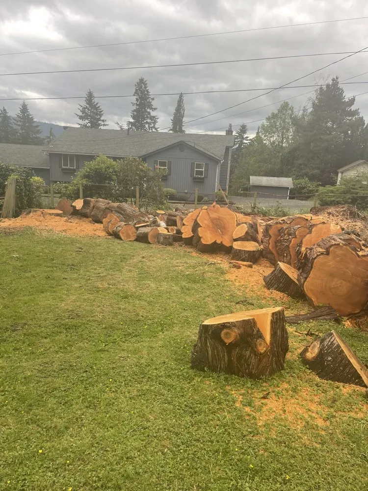 Affordable landscaping services in Bothell, WA by Sno-King Stump Grinding