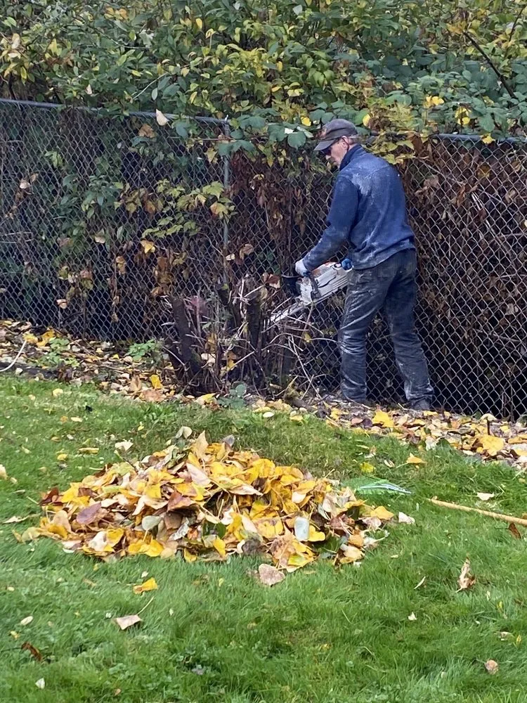 Expert landscape installation experts serving Bothell, WA - Sno-King Stump Grinding