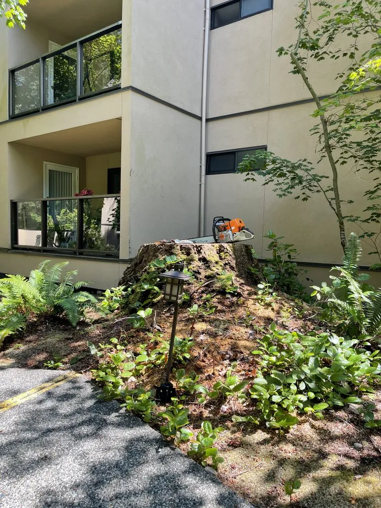 Trusted yard maintenance in Bothell, WA - Sno-King Stump Grinding
