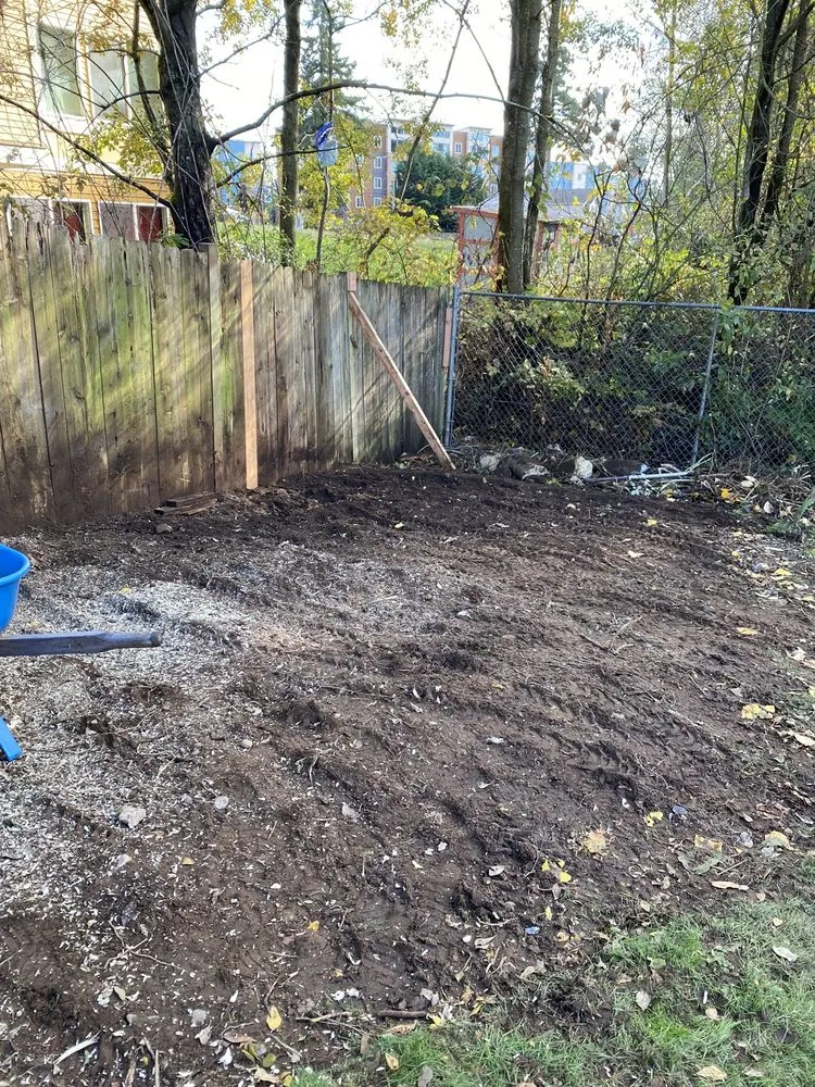 Professional yard cleanup service in Bothell, WA - Sno-King Stump Grinding