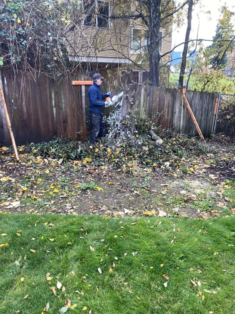 Trusted yard maintenance near you across Bothell, WA - Sno-King Stump Grinding