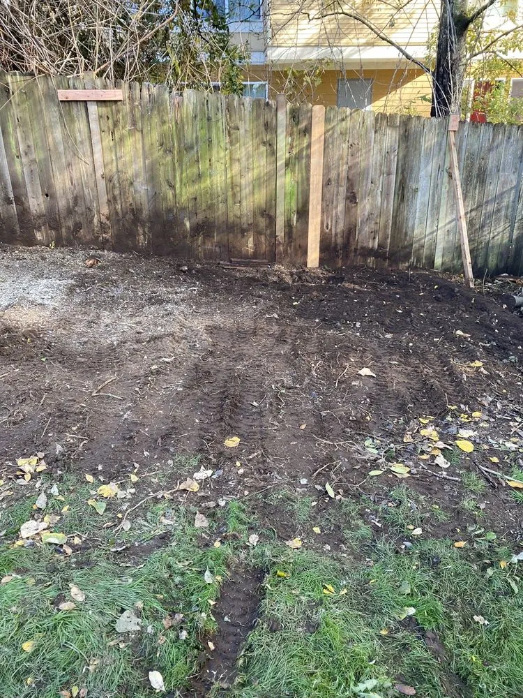 Affordable yard maintenance in Bothell, WA - Sno-King Stump Grinding