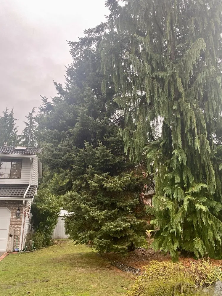 Local residential landscaping in Bothell, WA by Sno-King Stump Grinding