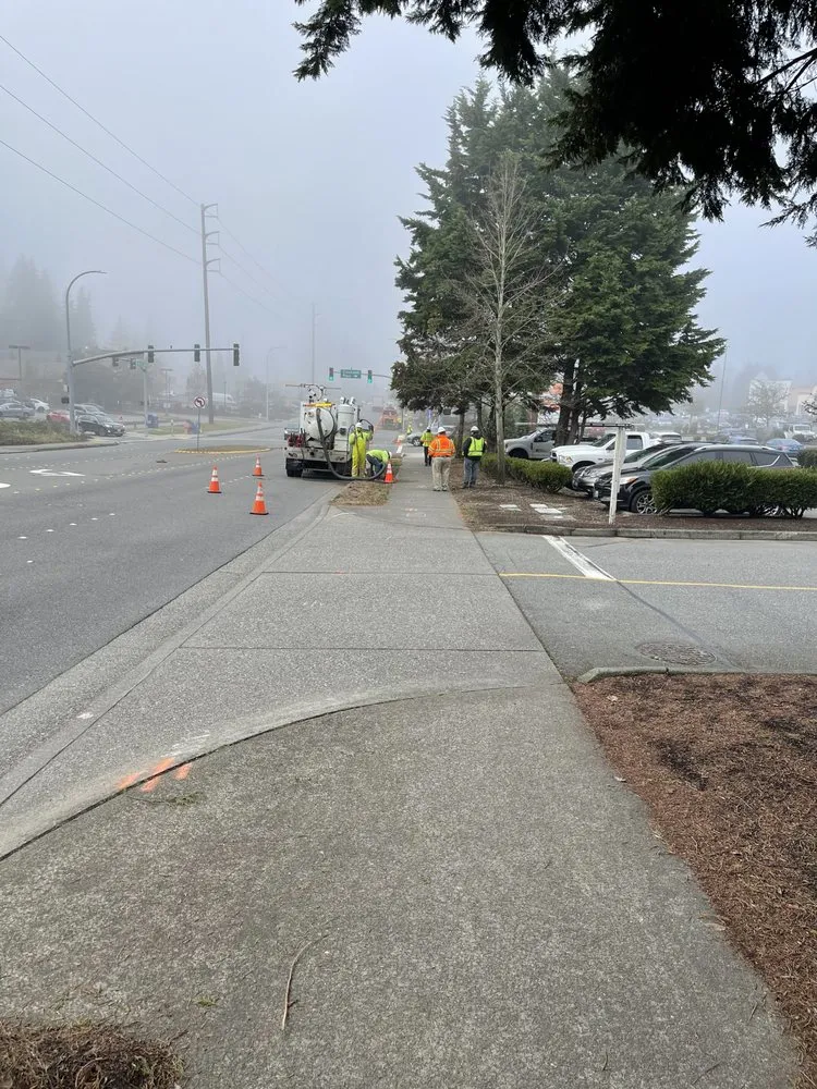 Affordable yard maintenance in Bothell, WA by Sno-King Stump Grinding