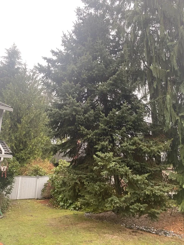 Custom garden landscaping in Bothell, WA by Sno-King Stump Grinding