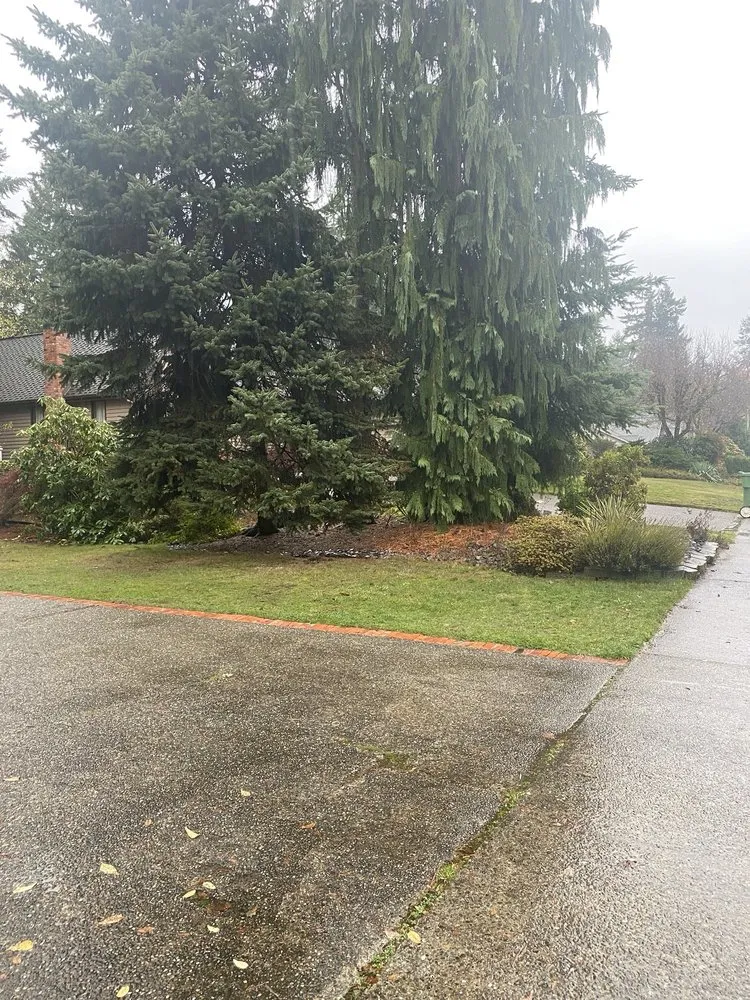 Affordable lawn care service for year-round maintenance across Bothell, WA - Sno-King Stump Grinding