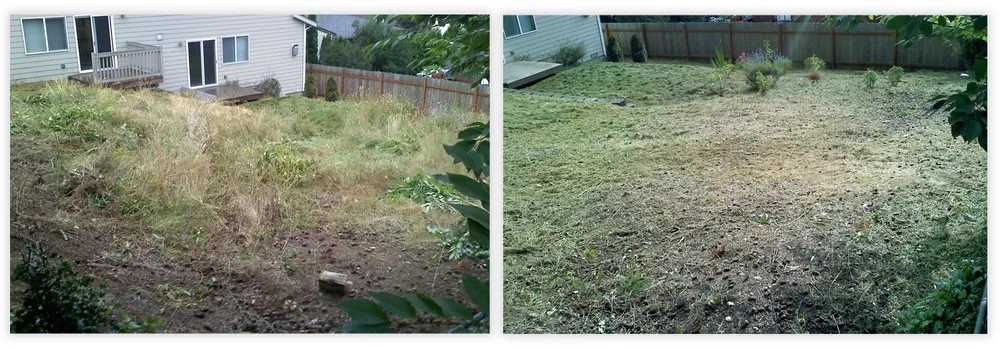 Local yard cleanup service in Everett, WA - SnoCo Lawn Care