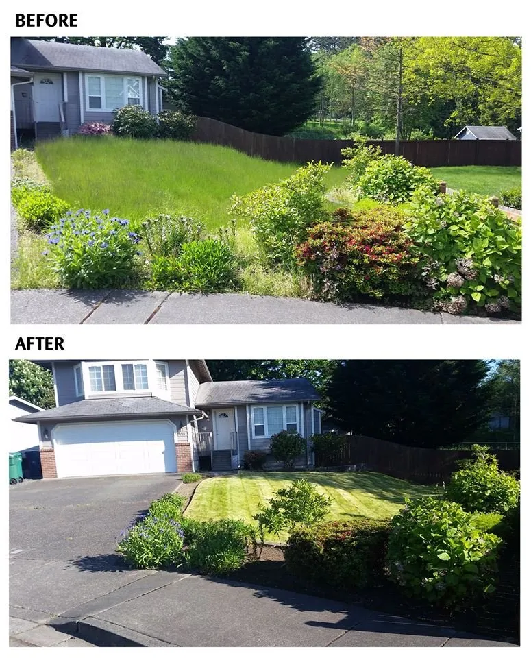 Affordable yard maintenance in Everett, WA by SnoCo Lawn Care