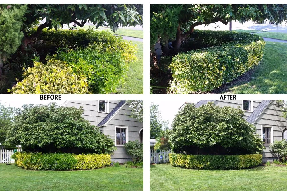 Professional landscape installation with custom design across Everett, WA - SnoCo Lawn Care