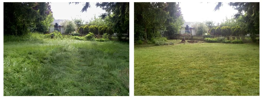 Custom landscaping services near you across Everett, WA - SnoCo Lawn Care