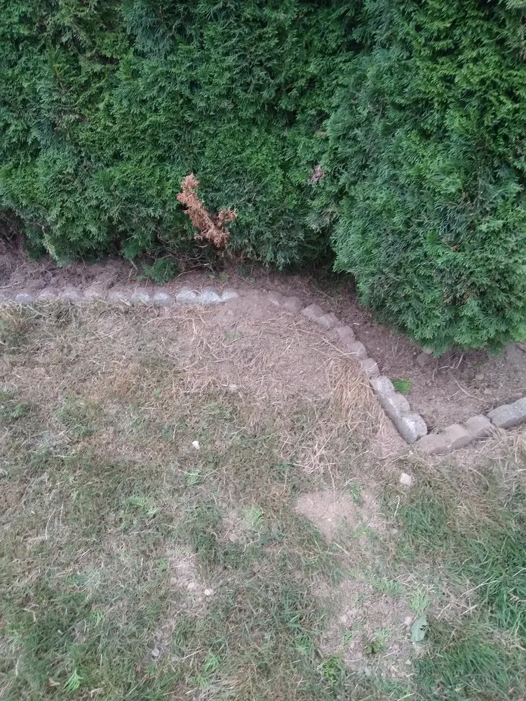 Local landscape installation for beautiful yards in Arlington, WA by Snohomish County Home and Landscape Service LLC