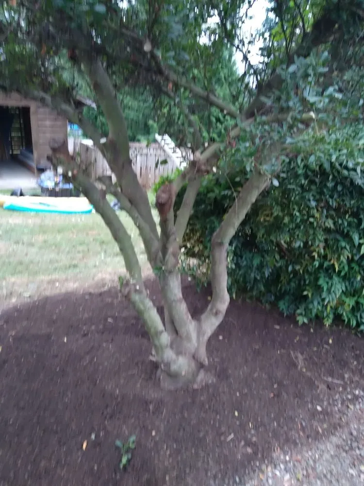 Local lawn mowing service in Arlington, WA by Snohomish County Home and Landscape Service LLC