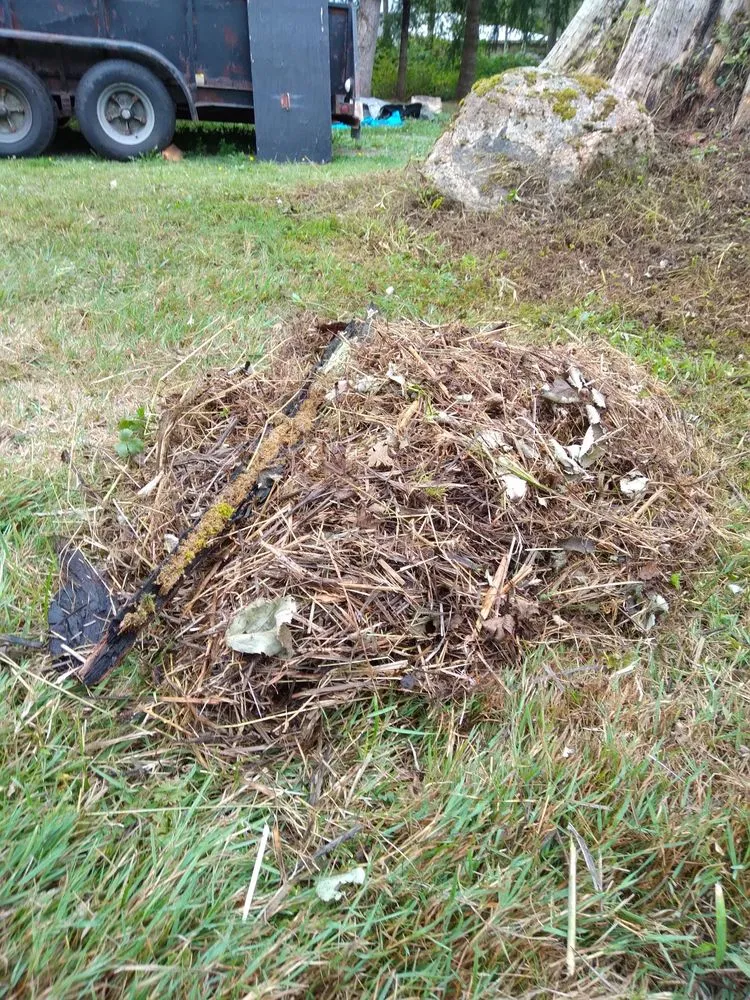 Reliable residential landscaping near you in Arlington, WA by Snohomish County Home and Landscape Service LLC