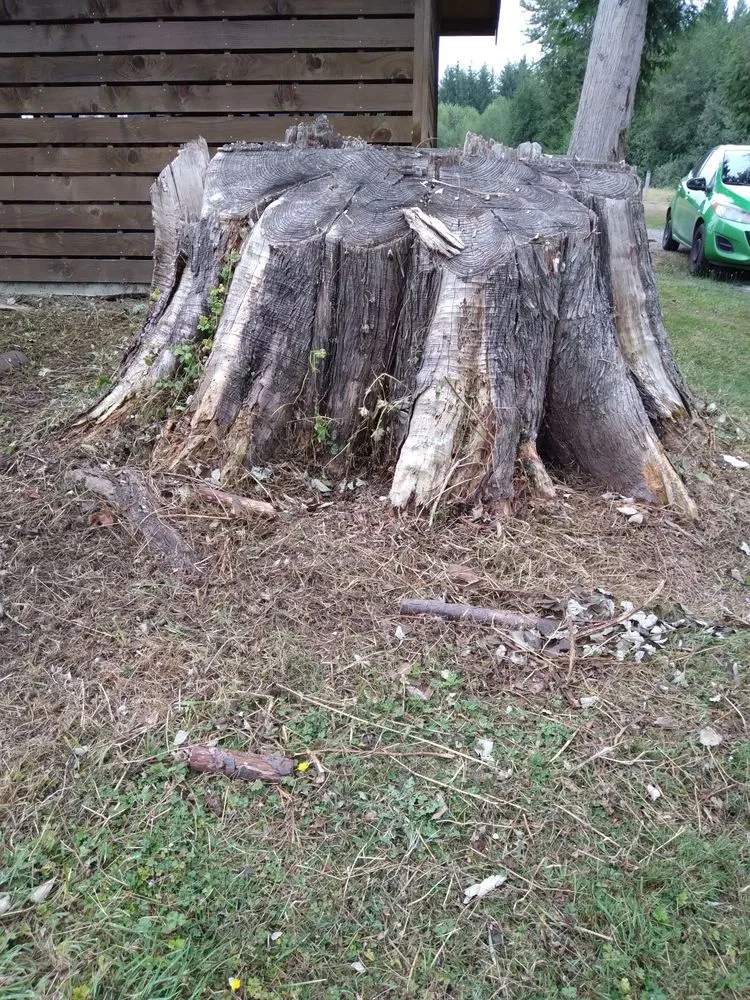 Expert landscape installation with custom design across Arlington, WA - Snohomish County Home and Landscape Service LLC