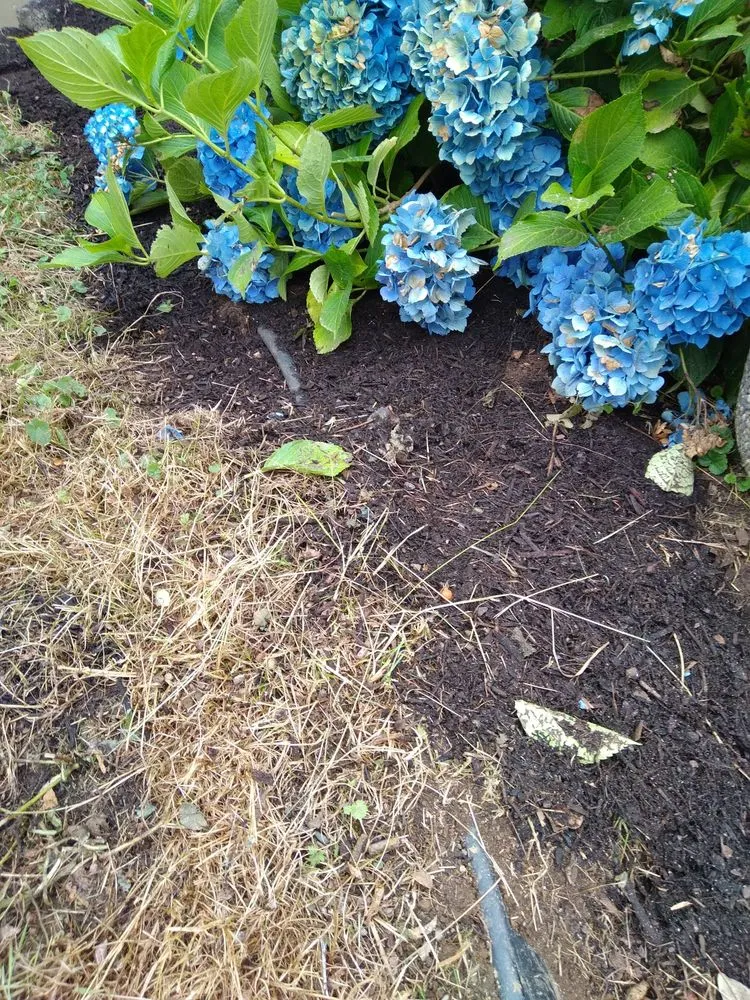 Professional lawn mowing service for residential properties in Arlington, WA by Snohomish County Home and Landscape Service LLC