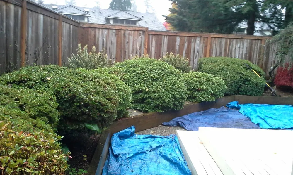 Affordable landscaping services for residential properties across Arlington, WA - Snohomish County Home and Landscape Service LLC