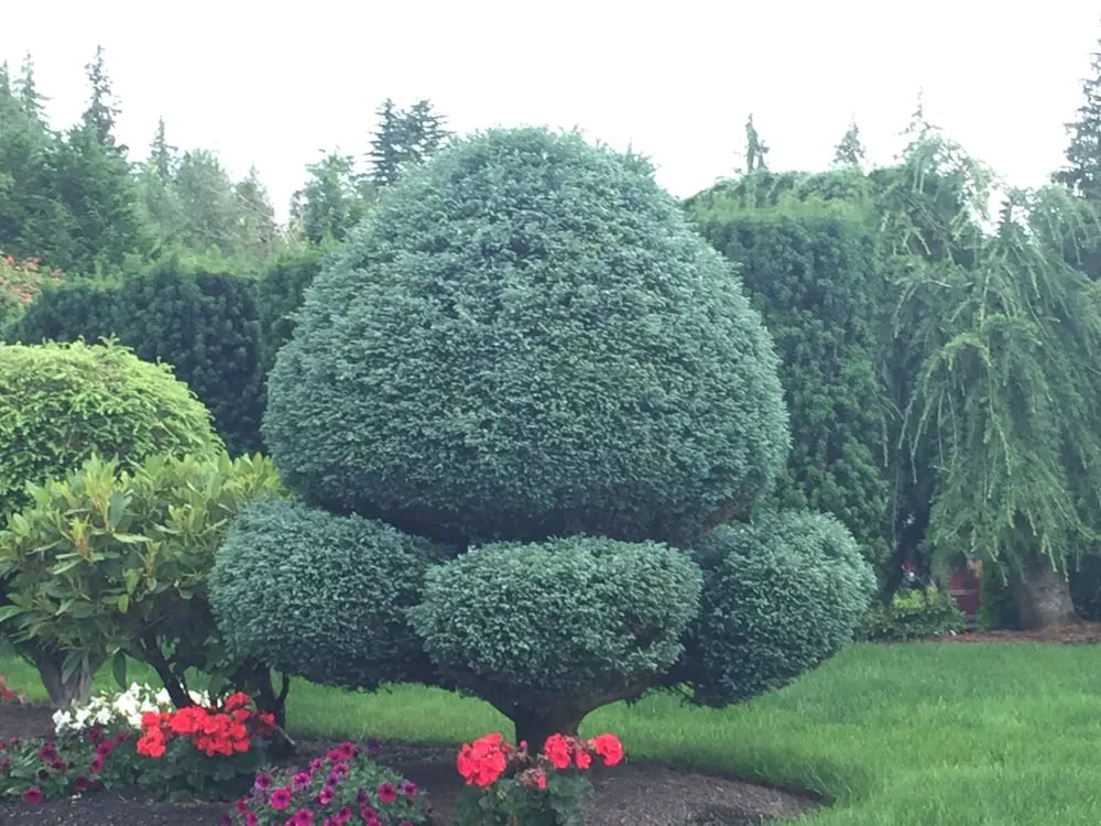 Expert landscape installation in Arlington, WA - Snohomish County Home and Landscape Service LLC