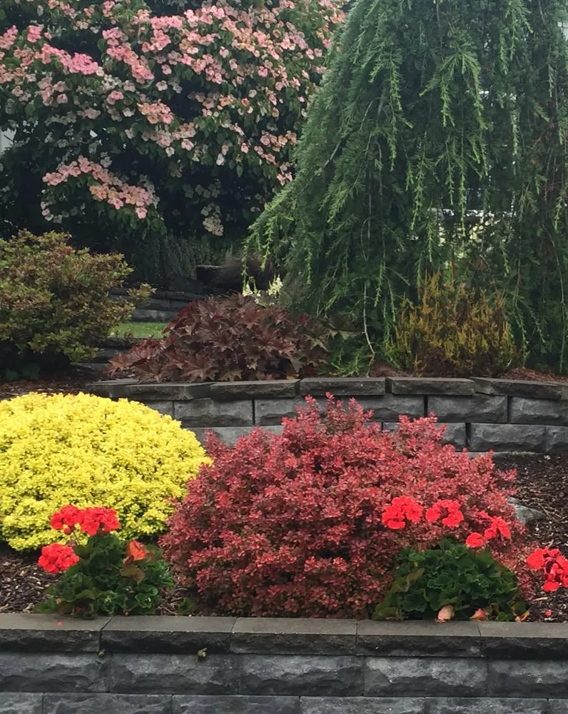 Top-rated landscape installation in Arlington, WA by Snohomish County Home and Landscape Service LLC