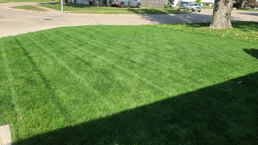 Professional yard cleanup service in North Sioux City, SD by Snow & Lawn Solutions