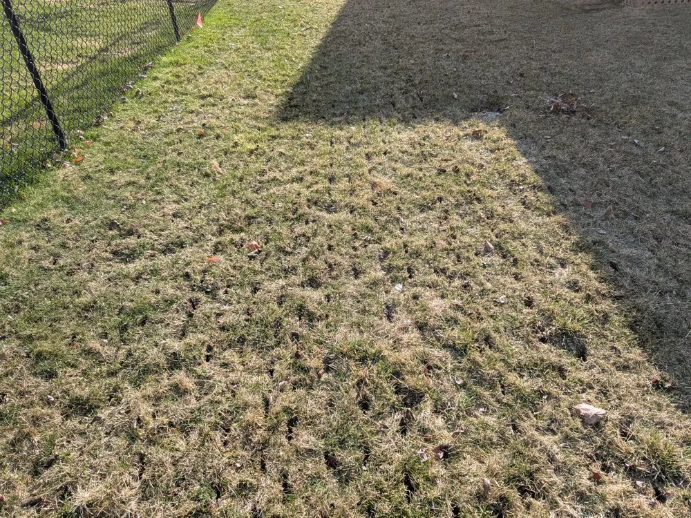 Trusted landscape design in North Sioux City, SD - Snow & Lawn Solutions