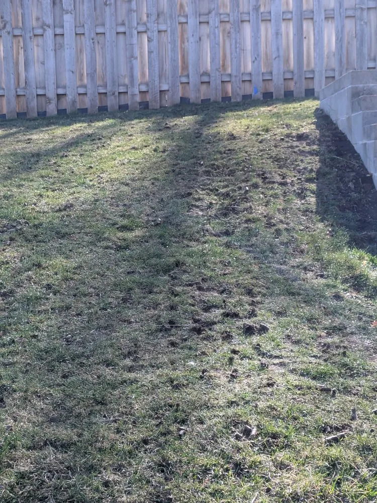 Professional yard cleanup service for beautiful yards across North Sioux City, SD - Snow & Lawn Solutions