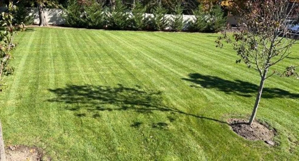 Top-rated residential landscaping in Miller Place, NY - Snow & Mow