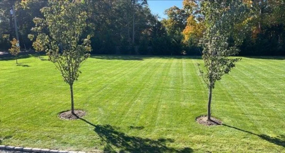 Affordable landscape design in Miller Place, NY by Snow & Mow