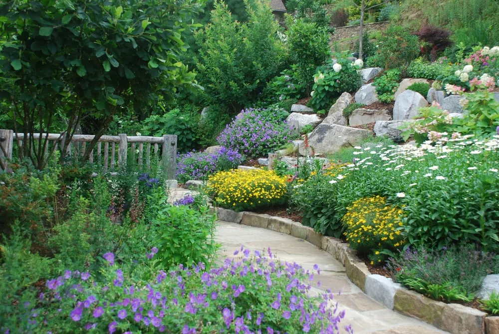 Affordable yard cleanup service in Arden, NC - Snow Creek Landscaping, LLC