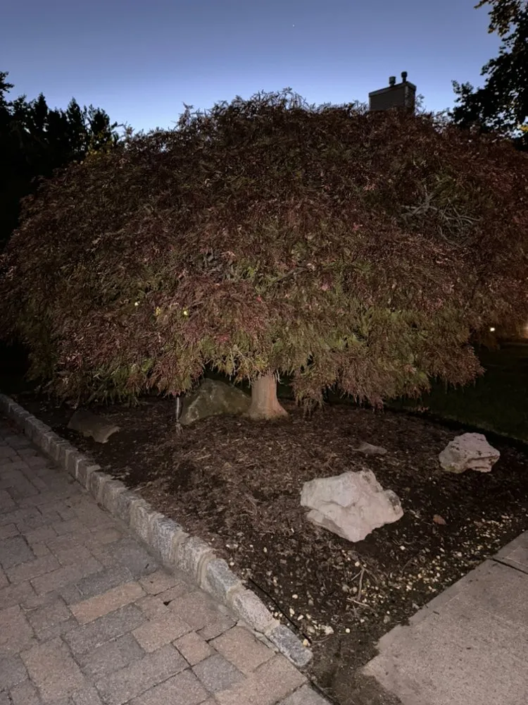 Local outdoor landscaping experts serving East Hanover, NJ - SnowCat Seasonal Services