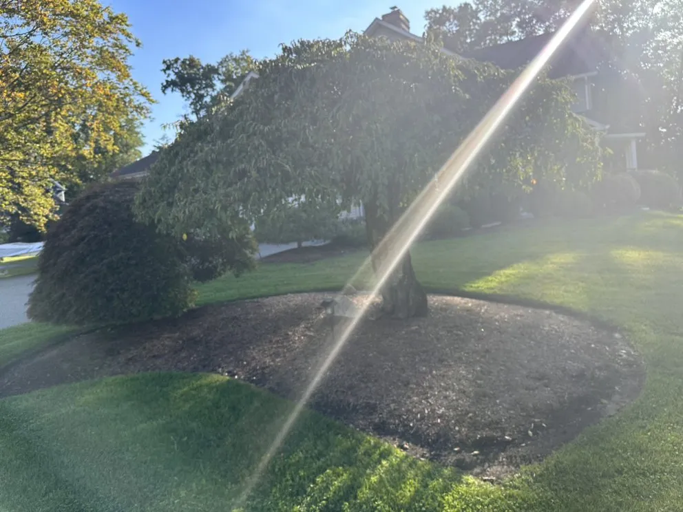 Trusted lawn care service in East Hanover, NJ - SnowCat Seasonal Services