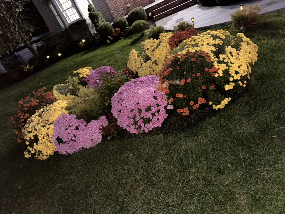 Local lawn care service in East Hanover, NJ by SnowCat Seasonal Services