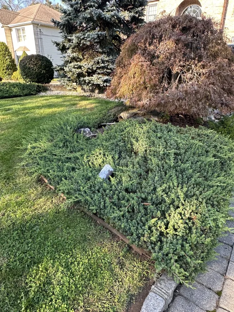 Custom yard cleanup service in East Hanover, NJ - SnowCat Seasonal Services