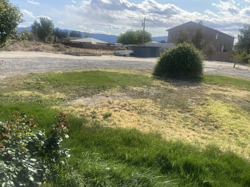 Expert yard cleanup service for homes across Pahrump, NV - Snowden Landscape